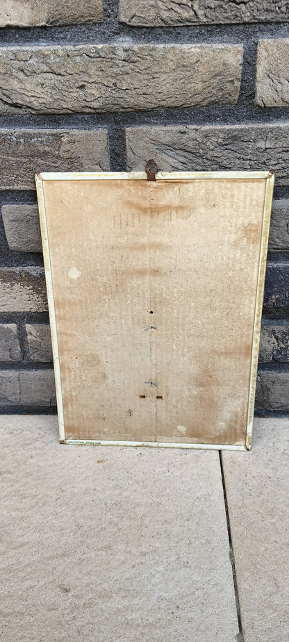 YACCO reclame thermometer